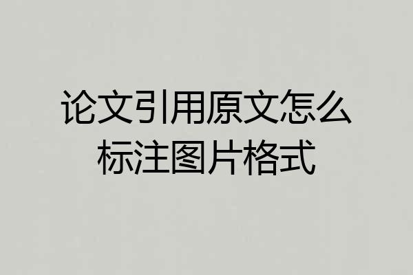 论文引用原文怎么标注图片格式