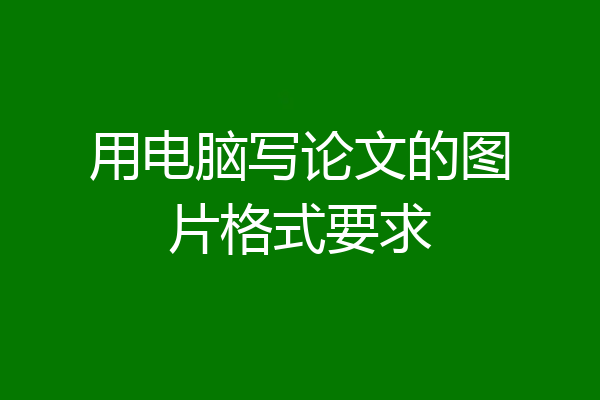 用电脑写论文的图片格式要求