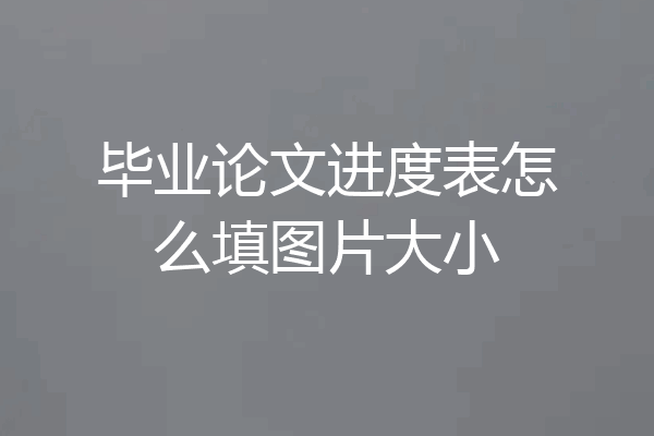 毕业论文进度表怎么填图片大小