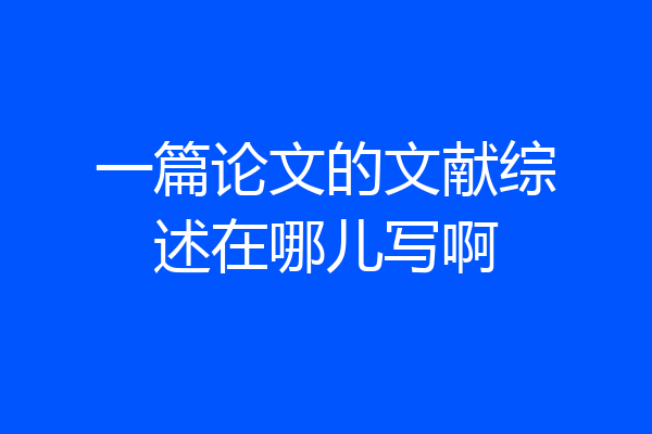 一篇论文的文献综述在哪儿写啊