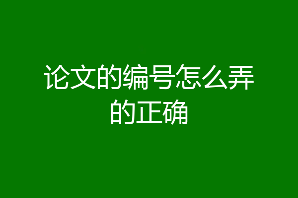 论文的编号怎么弄的正确