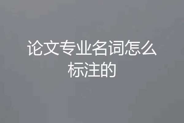 论文专业名词怎么标注的