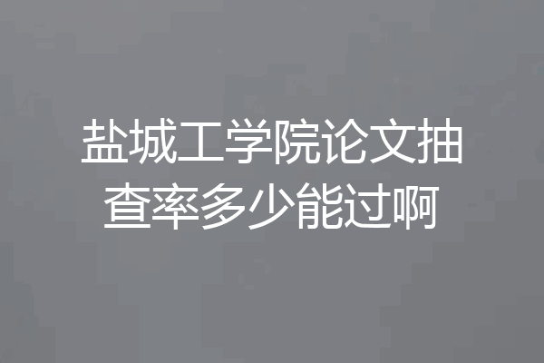 盐城工学院论文抽查率多少能过啊