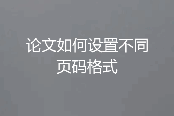 论文如何设置不同页码格式