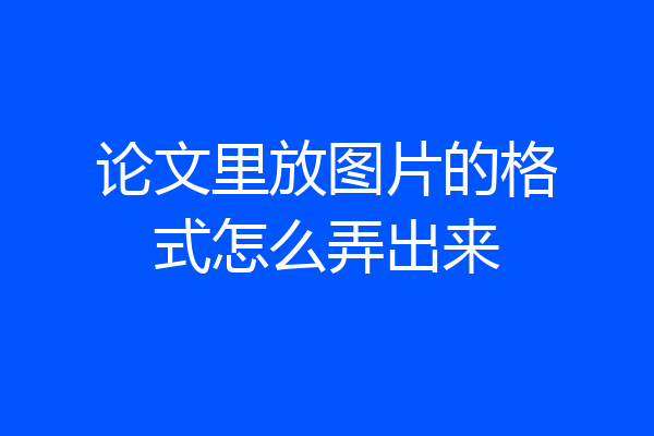 论文里放图片的格式怎么弄出来