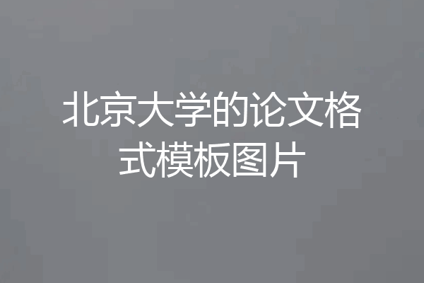北京大学的论文格式模板图片