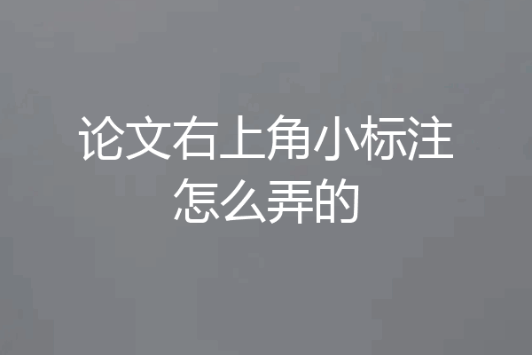 论文右上角小标注怎么弄的