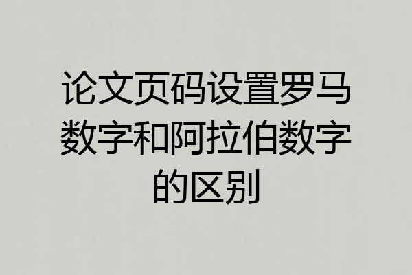 论文页码设置罗马数字和阿拉伯数字的区别
