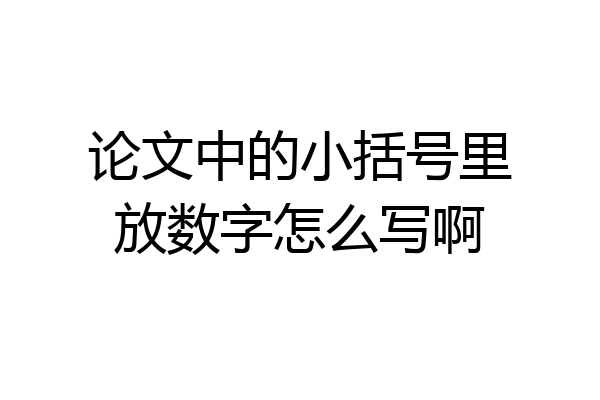 论文中的小括号里放数字怎么写啊