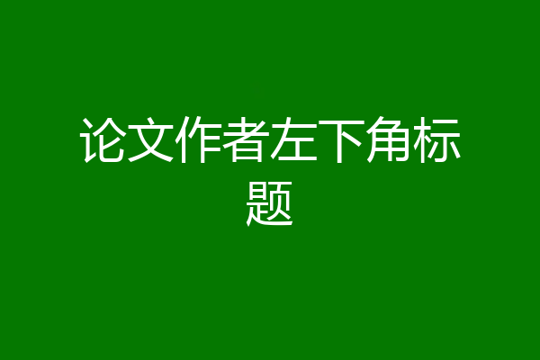 论文作者左下角标题