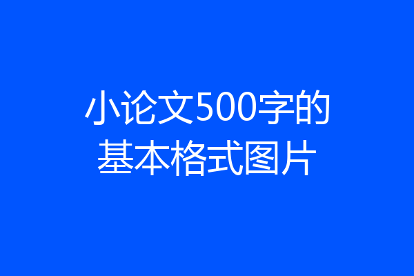 小论文500字的基本格式图片