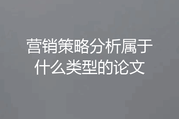 营销策略分析属于什么类型的论文