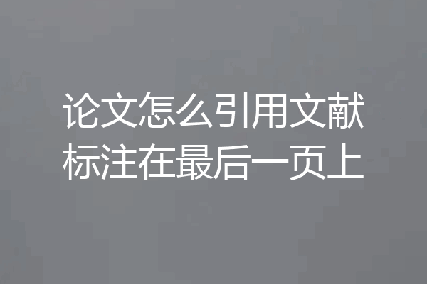 论文怎么引用文献标注在最后一页上