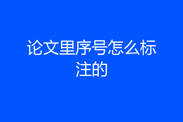 论文里序号怎么标注的