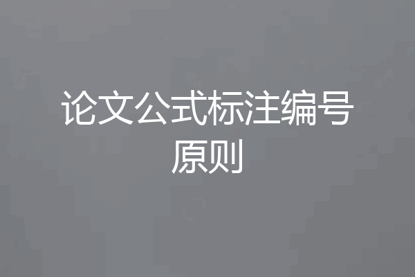论文公式标注编号原则
