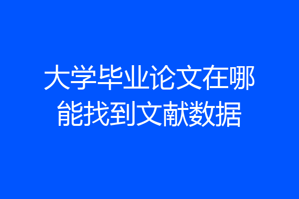 大学毕业论文在哪能找到文献数据