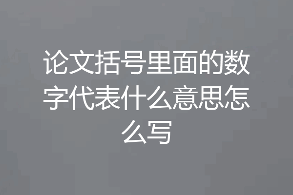 论文括号里面的数字代表什么意思怎么写
