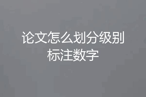 论文怎么划分级别标注数字
