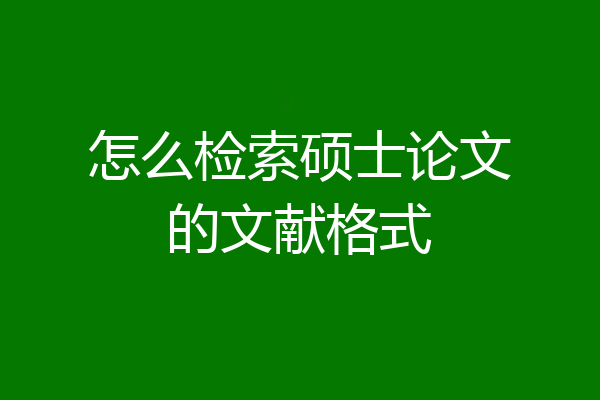 怎么检索硕士论文的文献格式