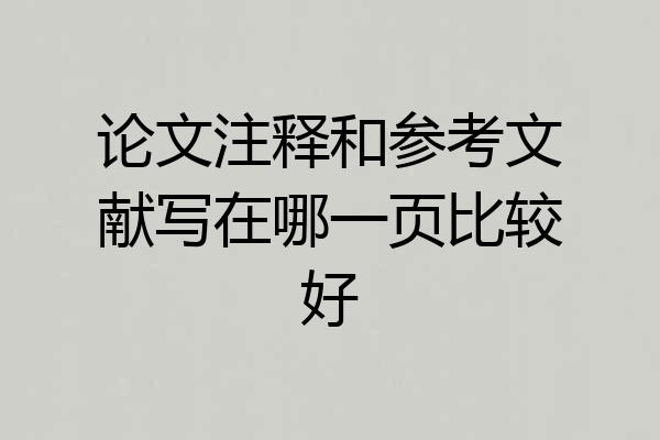论文注释和参考文献写在哪一页比较好
