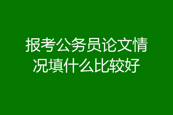 报考公务员论文情况填什么比较好