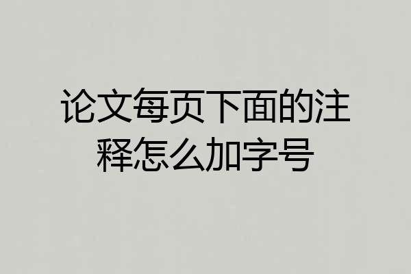 论文每页下面的注释怎么加字号