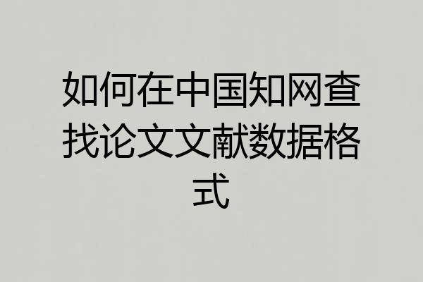 如何在中国知网查找论文文献数据格式