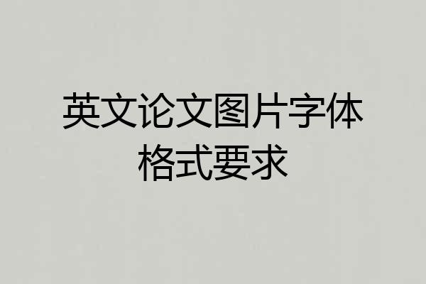 英文论文图片字体格式要求