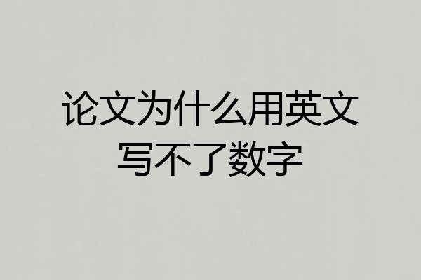 论文为什么用英文写不了数字