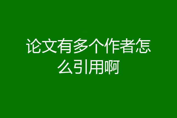 论文有多个作者怎么引用啊