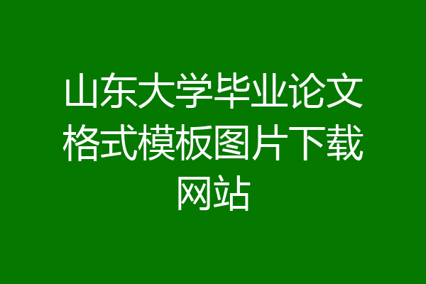 山东大学毕业论文格式模板图片下载网站