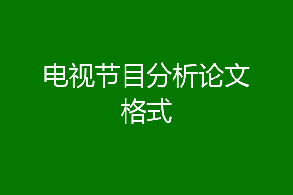 电视节目分析论文格式