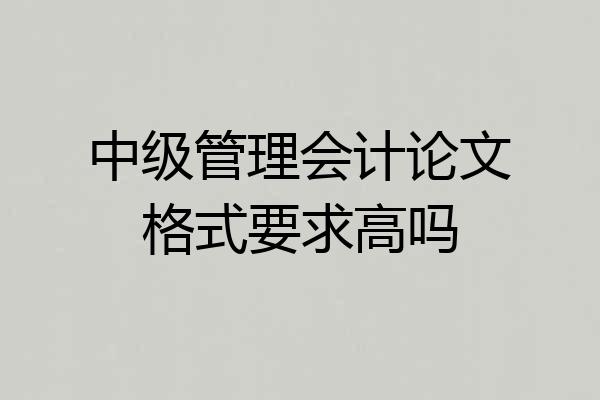中级管理会计论文格式要求高吗