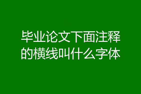 毕业论文下面注释的横线叫什么字体