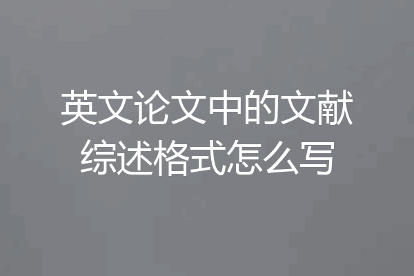 英文论文中的文献综述格式怎么写
