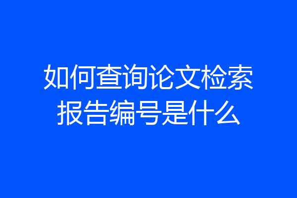如何查询论文检索报告编号是什么