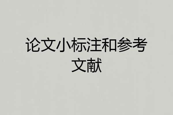 论文小标注和参考文献