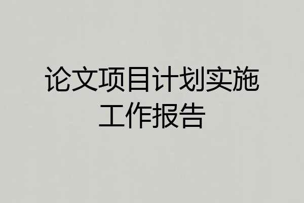 论文项目计划实施工作报告