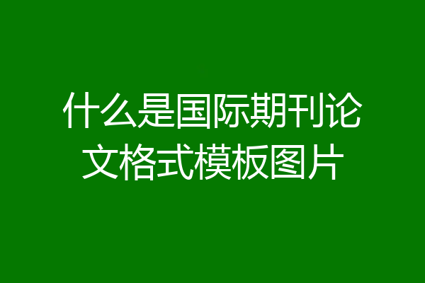 什么是国际期刊论文格式模板图片