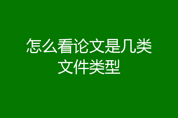 怎么看论文是几类文件类型