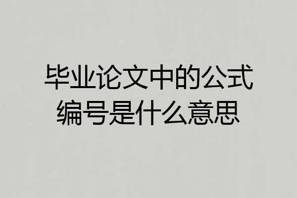 毕业论文中的公式编号是什么意思
