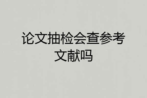 论文抽检会查参考文献吗