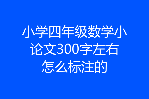 小学四年级数学小论文300字左右怎么标注的