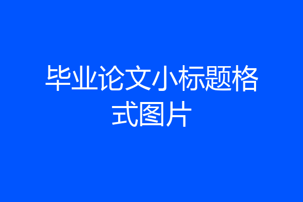 毕业论文小标题格式图片