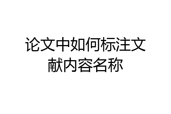 论文中如何标注文献内容名称
