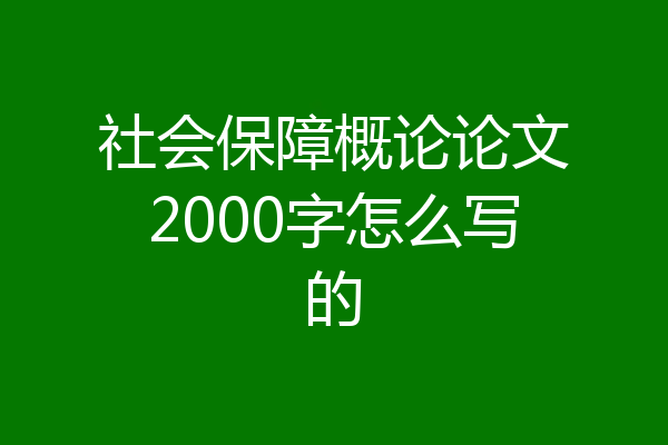 社会保障概论论文2000字怎么写的