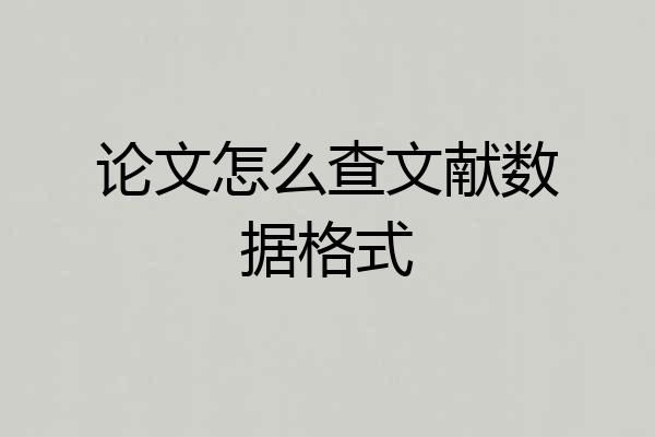论文怎么查文献数据格式