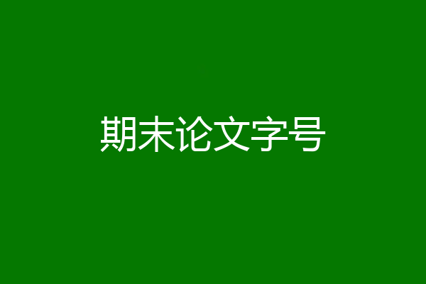 期末论文字号