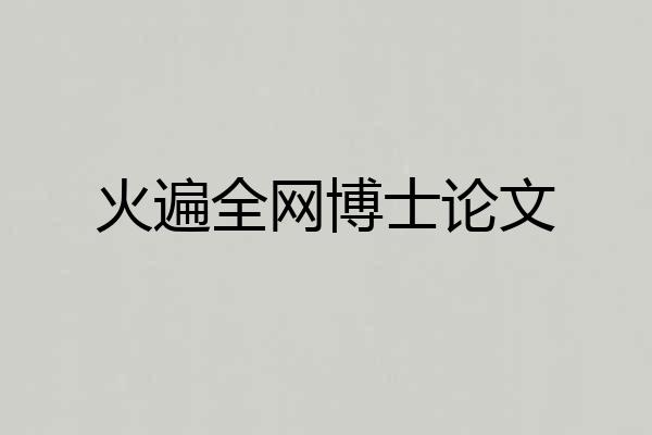 火遍全网博士论文
