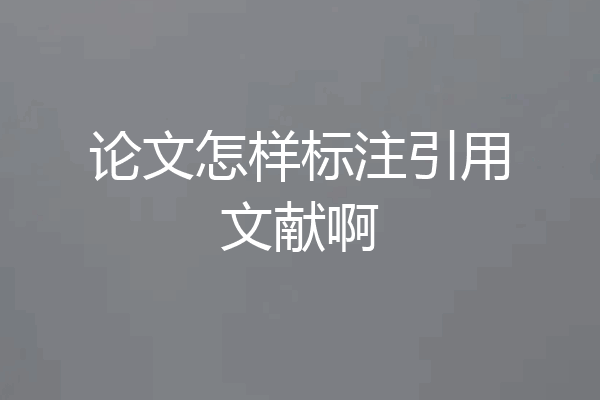 论文怎样标注引用文献啊